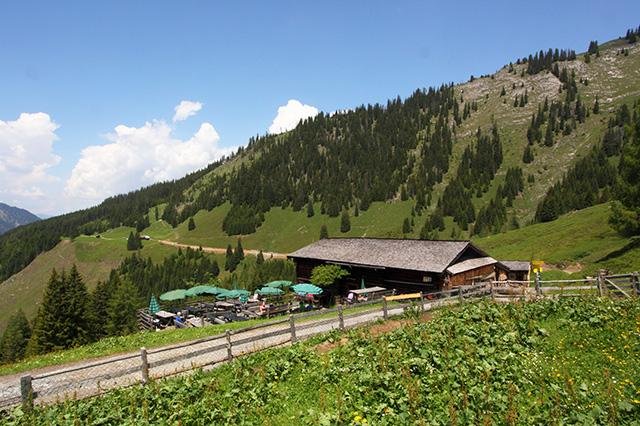 jasmin_640_1471967380karseggalm.jpg