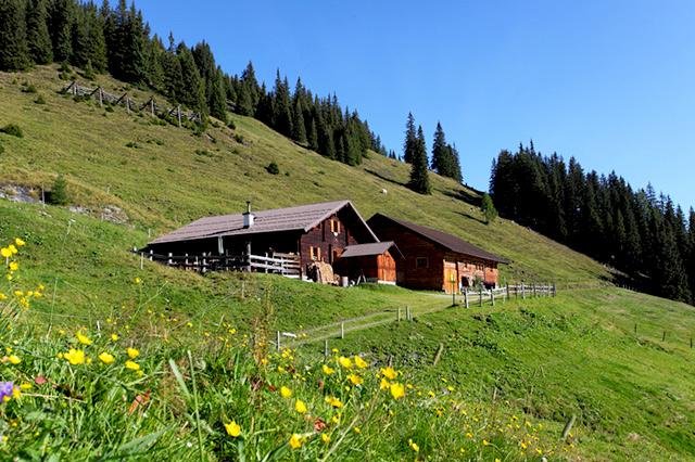 jasmin_640_1471967458vorderkaseralm.jpg